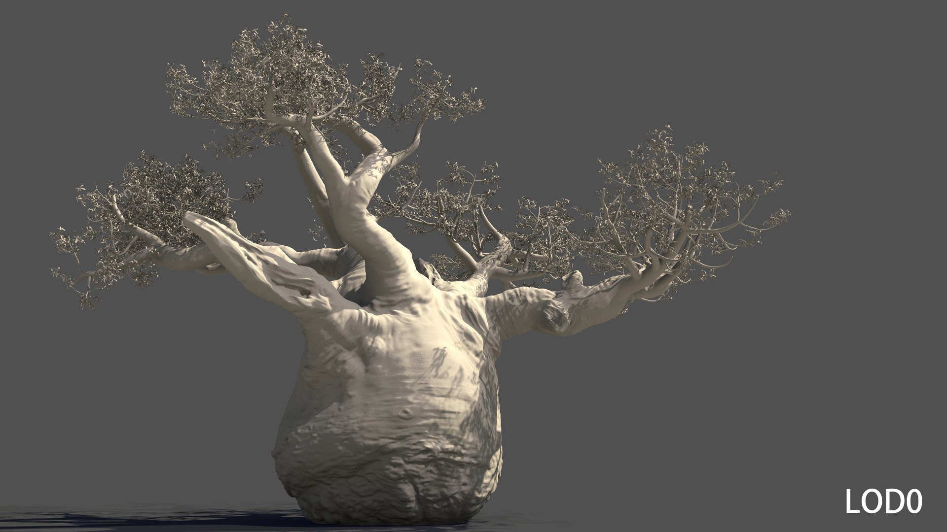 3D Baobab Tree1 Model - TurboSquid 2213720