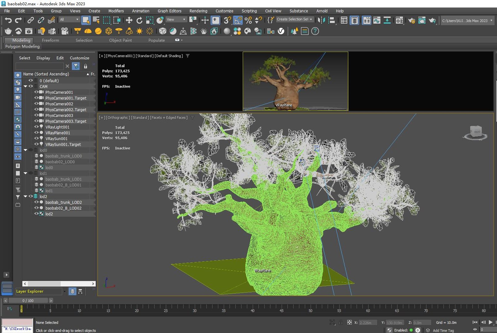 3D Baobab Tree Model - TurboSquid 2213720