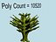 4砂漠のとげのある植物（ファンタジー）