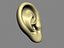 Ear