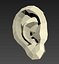 Ear