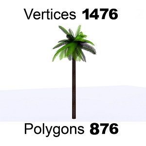 Palm Tree 3D