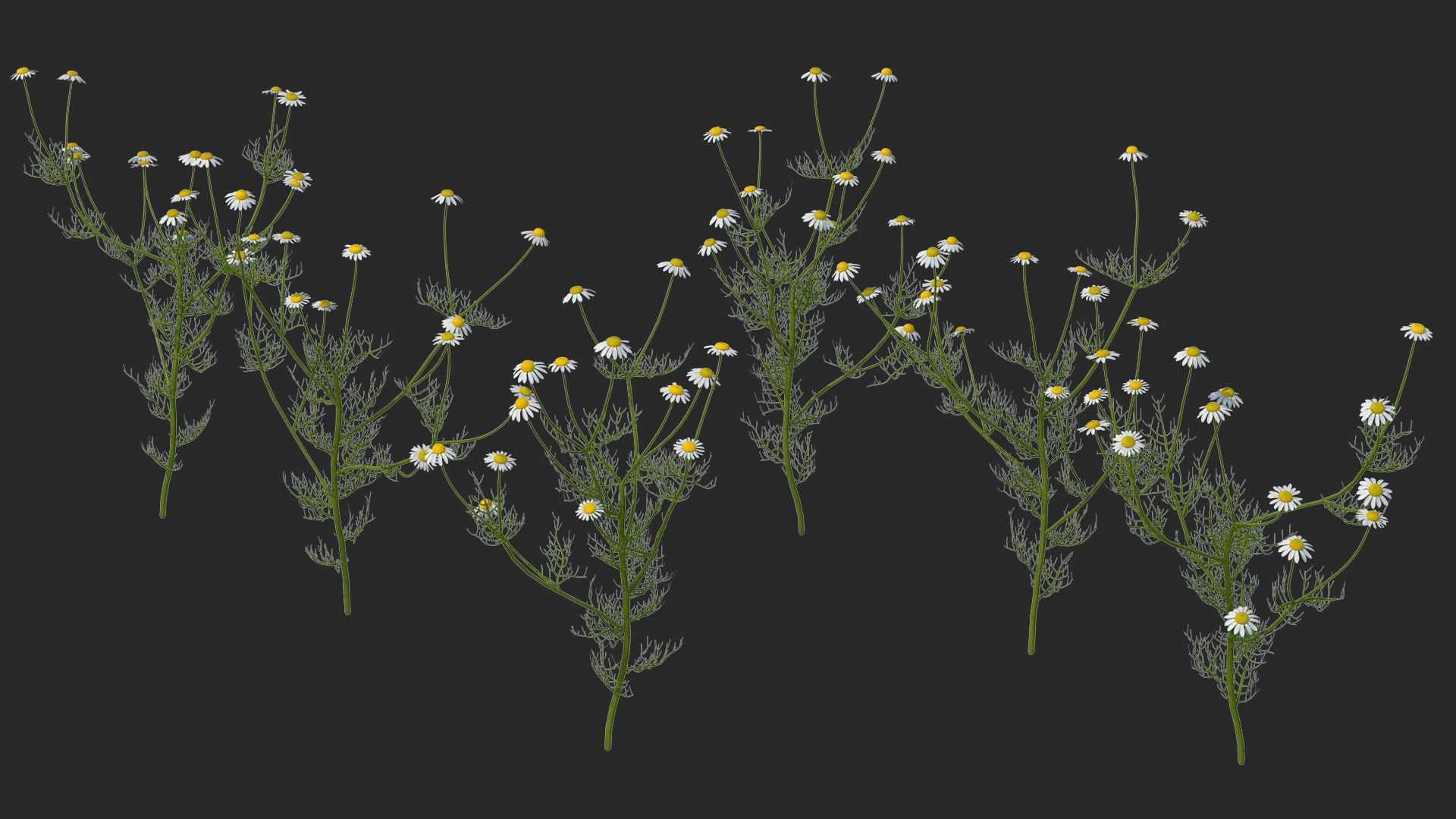 flowering plants 3 3D model https://p.turbosquid.com/ts-thumb/tZ/yqfZlX/1wTbXIXQ/floweringplantscollection33dmodel002/jpg/1603705503/1920x1080/fit_q87/87f01ffdd9fd69f0e7f88a993ccd37aae883b1ef/floweringplantscollection33dmodel002.jpg