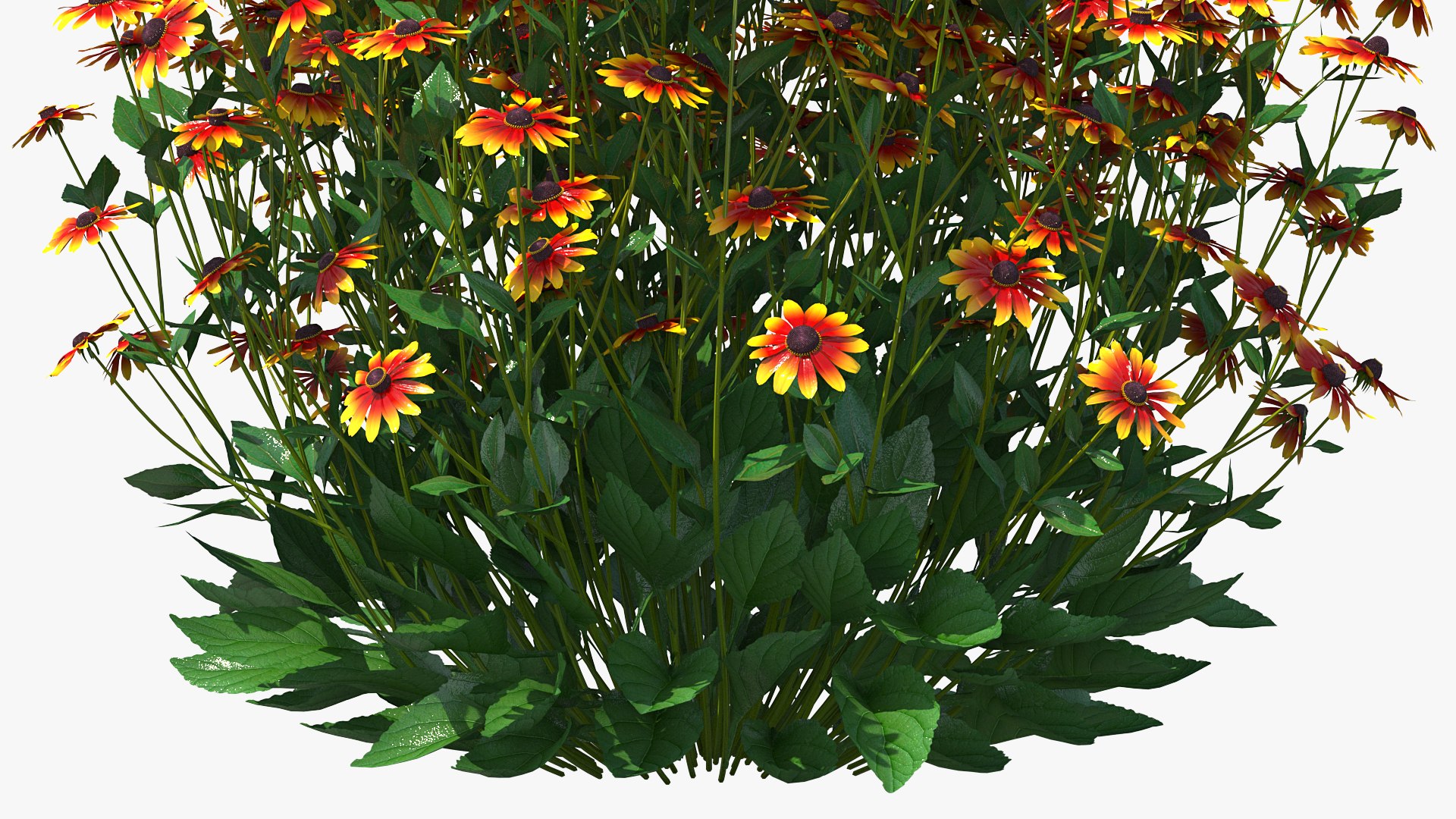 flowering plants 3 3D model https://p.turbosquid.com/ts-thumb/tZ/yqfZlX/lpm3gjTo/floweringplantscollection33dmodel030/jpg/1603705505/1920x1080/fit_q87/30282ba5643eac451d50b1b7f8d2451fdd06449b/floweringplantscollection33dmodel030.jpg