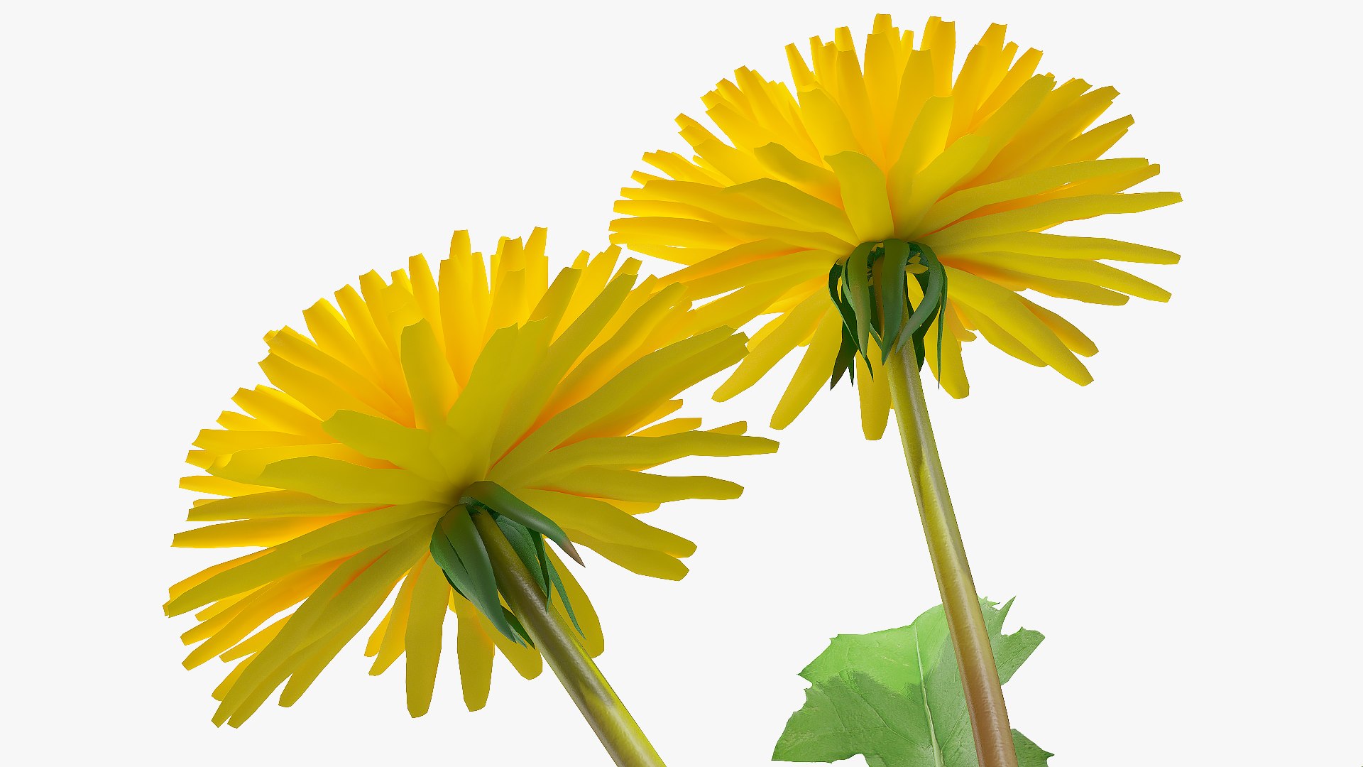 flowering plants 3 3D model https://p.turbosquid.com/ts-thumb/tZ/yqfZlX/z1SBWWFN/floweringplantscollection33dmodel041/jpg/1603705506/1920x1080/fit_q87/53020d100dba722aadf0f30e34a478a1b057e204/floweringplantscollection33dmodel041.jpg