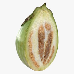 Round Green Eggplant Cut 02