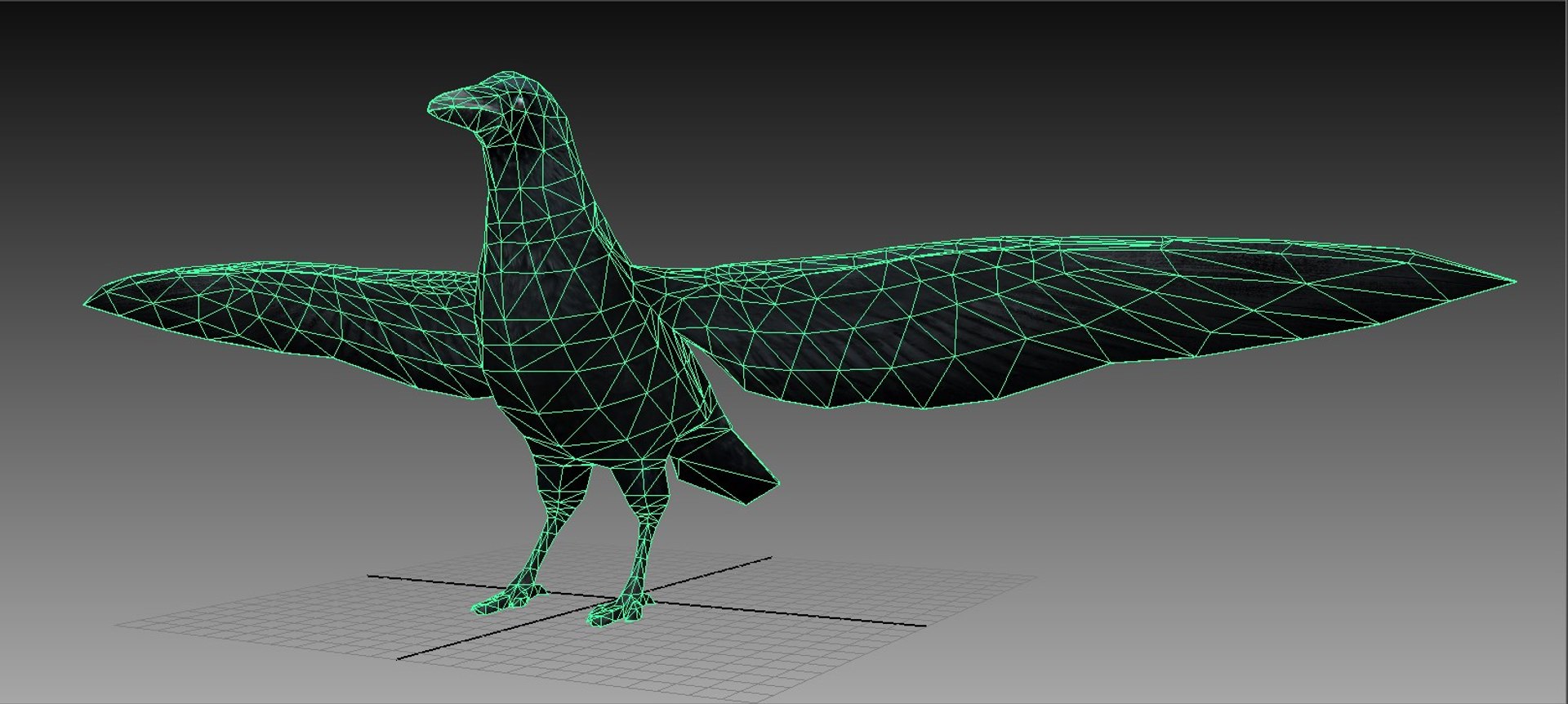 3d Crow Rigged Animations Model