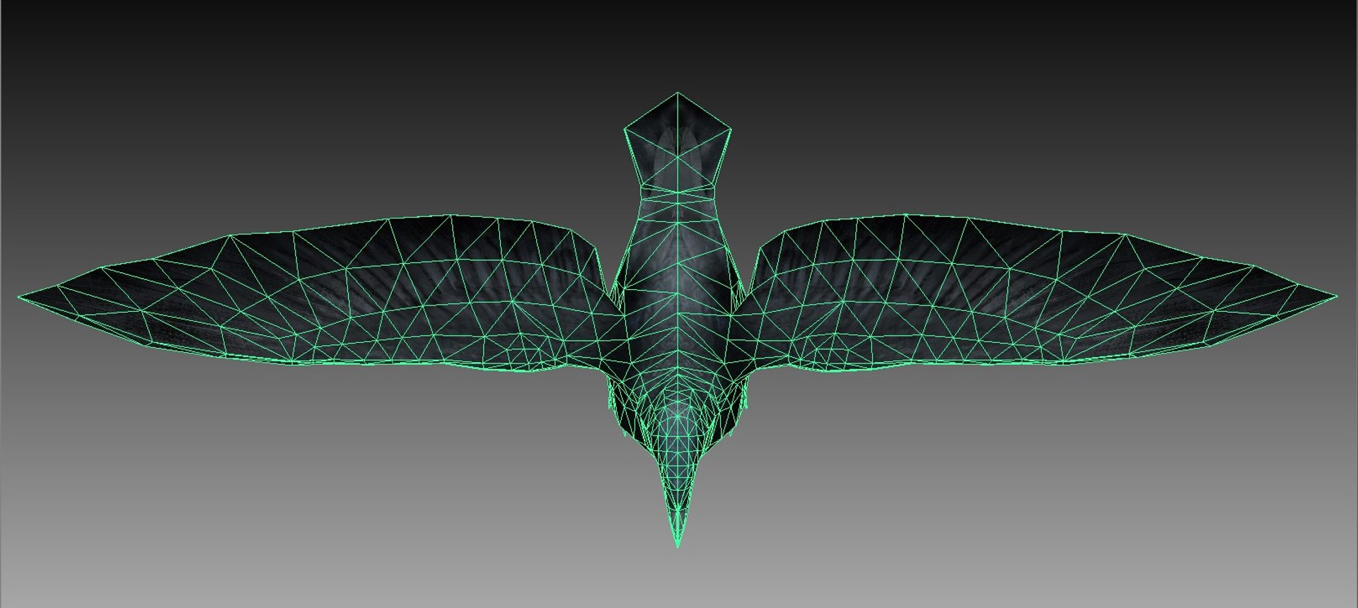 3d Crow Rigged Animations Model