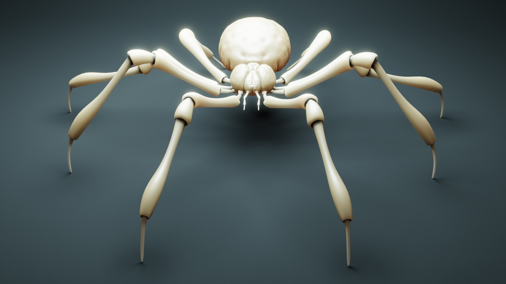 High Detailed Realistic Spider For 3D Printing 3D Model - TurboSquid ...