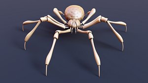 High Detailed Realistic Spider for 3D Printing 3D model