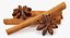 Stick Cinnamon And Star Anise Spice