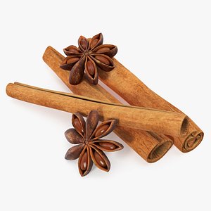 stick cinnamon star anise 3D model