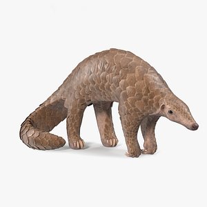 Pangolin Rigged for Maya