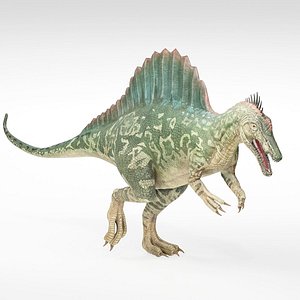 3D Realistic Spinosaurus Dinosaur model