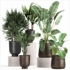 3D Plants in a metal flowerpot for the interior 1088 model