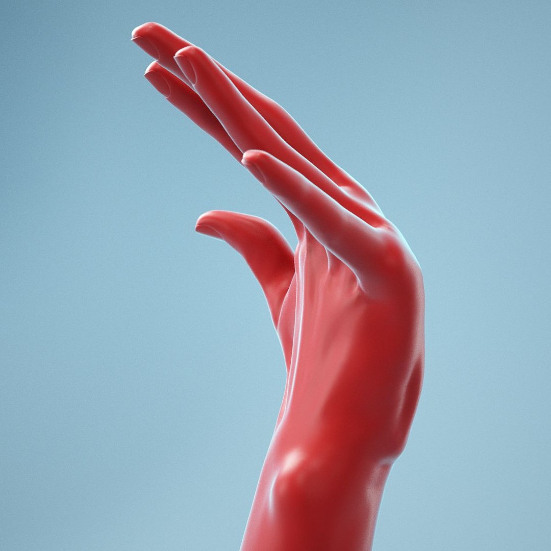 Female Hand 3D Model - TurboSquid 1451765
