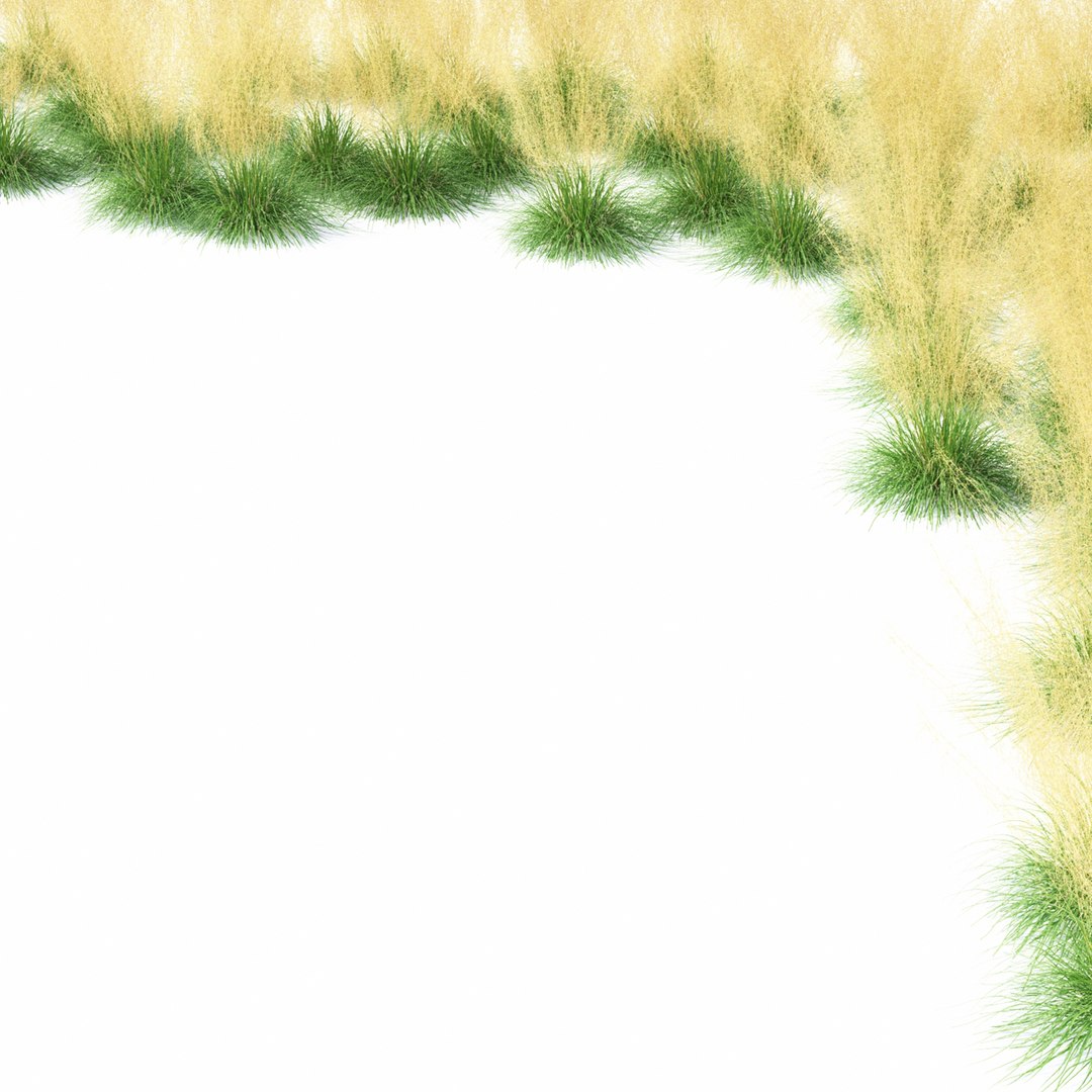 Deschampsia cespitosa 3D model https://p.turbosquid.com/ts-thumb/ta/qc6Op1/dZ/goldtau_view_09_1920/jpg/1652979539/1920x1080/fit_q87/bf2531010b2e75e15bf2198fb7f3fec8583eb86b/goldtau_view_09_1920.jpg