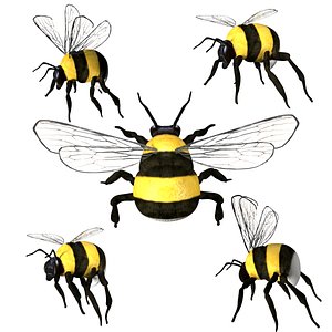 Fully Rigged low poly bumblebee