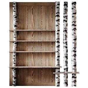 Shelves with birch partition