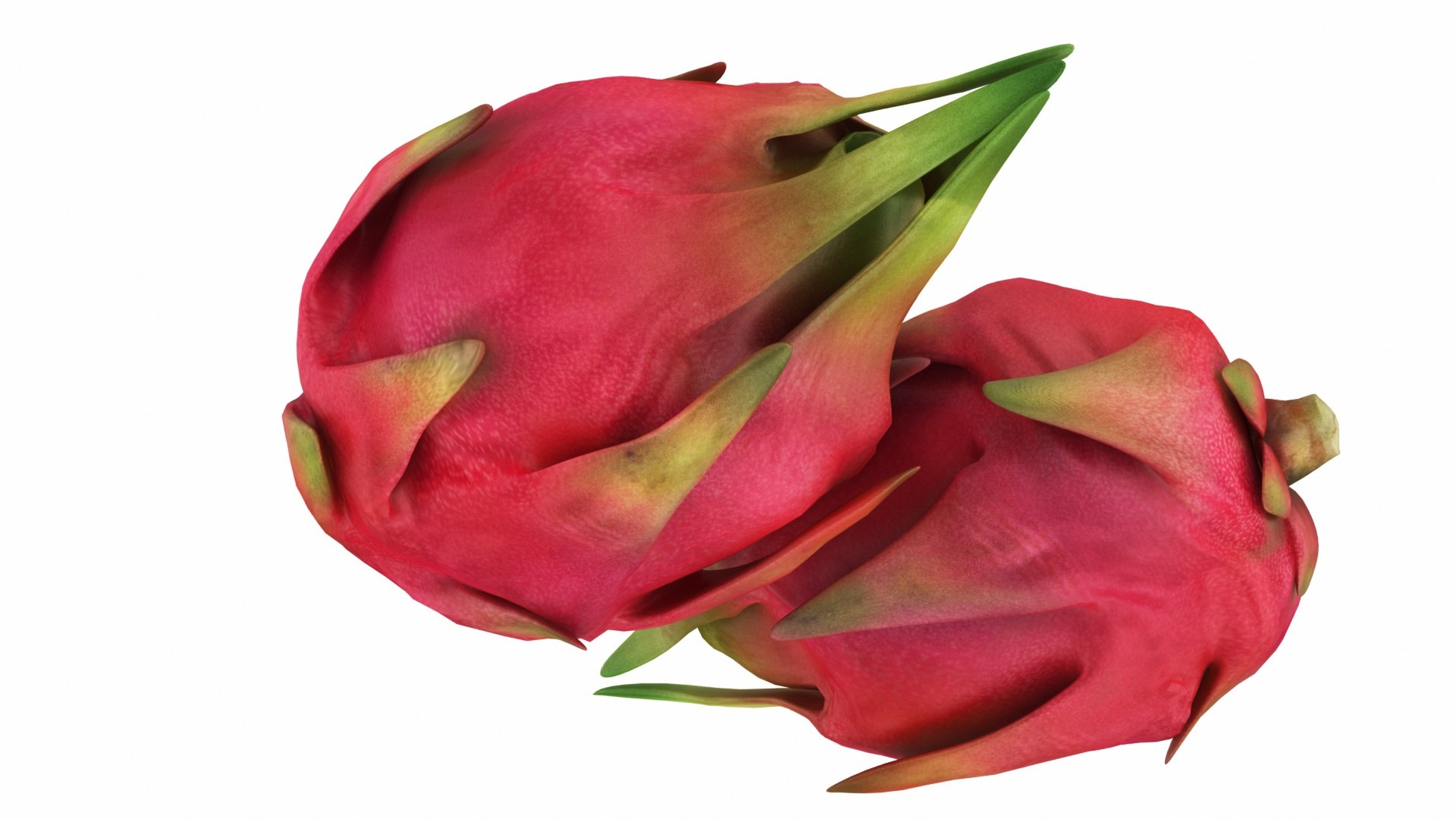 3D model Dragon Fruit https://p.turbosquid.com/ts-thumb/ta/xdqoLh/Ma/dragonfruit5/jpg/1770668785/1920x1080/fit_q87/6b4e33b1ef5e72b462822b87a3d6d8925ab2a4e4/dragonfruit5.jpg