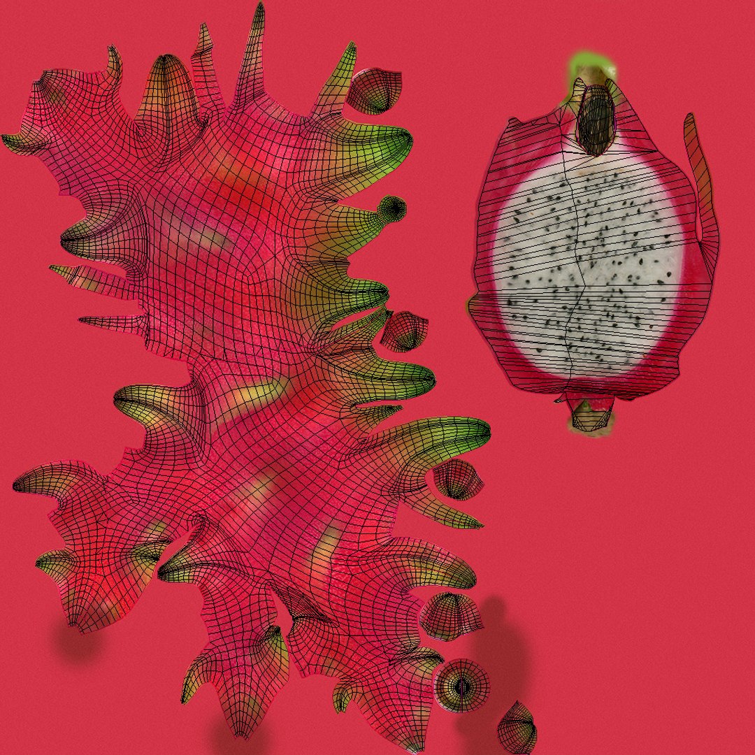 3D model Dragon Fruit https://p.turbosquid.com/ts-thumb/ta/xdqoLh/Th/dragonfruit15/jpg/1770668907/1920x1080/fit_q87/d2e59f74fa675585e20b49d9e768aed5894bcc18/dragonfruit15.jpg