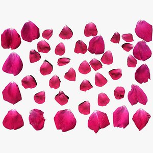 3D Rose Petals