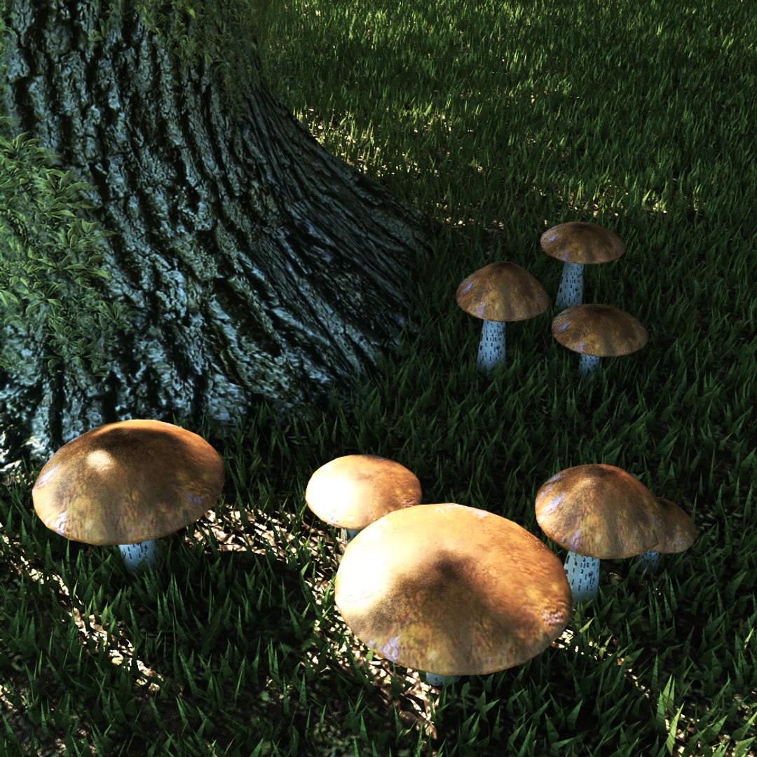 3D mushrooms set fungus https://p.turbosquid.com/ts-thumb/tb/51zqZA/0kqAZcsr/5a/jpg/1553549771/1920x1080/fit_q87/a563256d32a5e56679466ec25f7f6079bb004581/5a.jpg