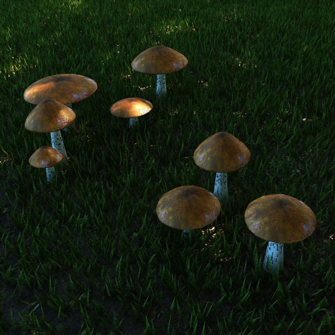 3D mushrooms set fungus https://p.turbosquid.com/ts-thumb/tb/51zqZA/BYttdVKG/5/jpg/1553549771/1920x1080/fit_q87/46b5e91c3100bf98a273a717be7793376a87be48/5.jpg