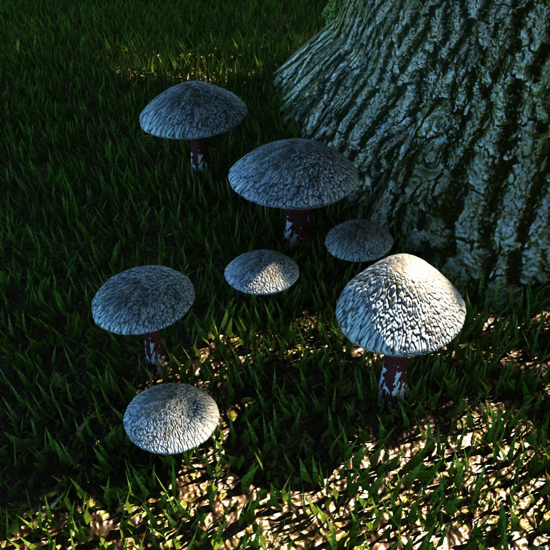 3D mushrooms set fungus https://p.turbosquid.com/ts-thumb/tb/51zqZA/Qu5rSzrO/4a/jpg/1553549822/1920x1080/fit_q87/b1a09144cfe27834cf234c8fb42372a055160a48/4a.jpg