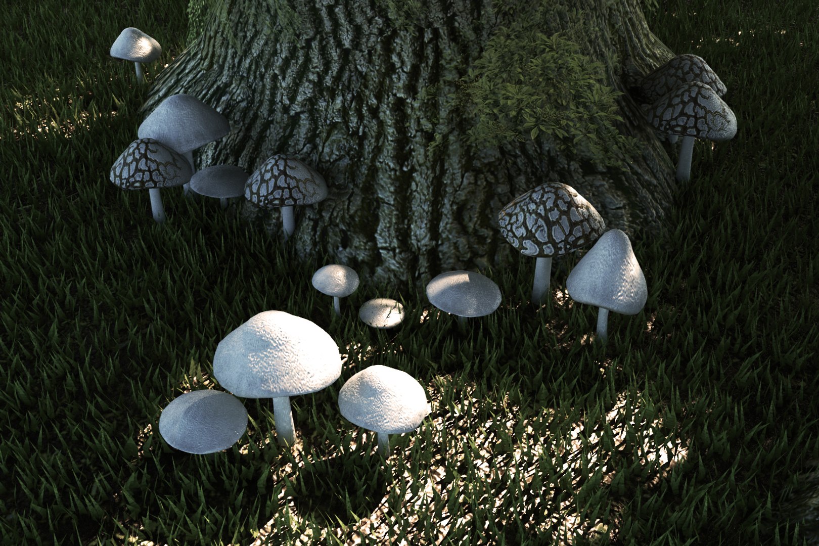 3D mushrooms set fungus https://p.turbosquid.com/ts-thumb/tb/51zqZA/dNYeEHFD/3/jpg/1553549822/1920x1080/fit_q87/705526bf9a47e0ad315c9bd0f8b264ea5801bb29/3.jpg