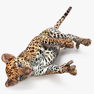 Leopard Cub Playing Animated Rigged