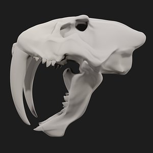 Smilodon Skull model