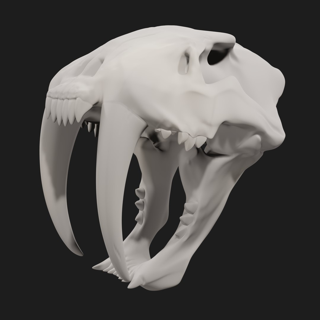 Smilodon Skull Model - TurboSquid 1893459