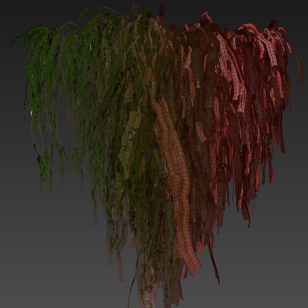 Collection plant vol 610 Corona 7 max 2011 3D model https://p.turbosquid.com/ts-thumb/tb/8MWK1s/2f/7/jpg/1731802020/1920x1080/fit_q87/a57f689dca995bd13fcd30fa2874ea4a9513bf2b/7.jpg