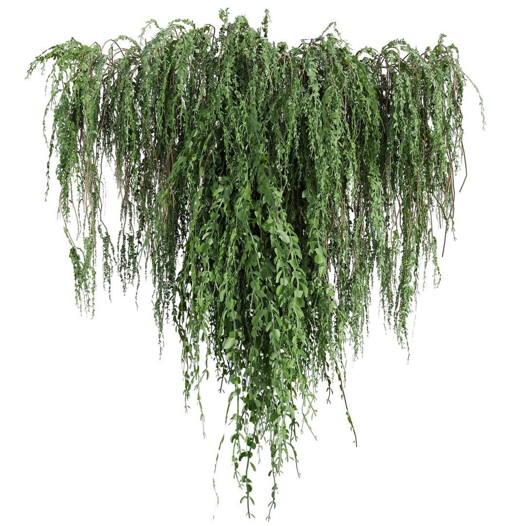 Collection plant vol 610 Corona 7 max 2011 3D model https://p.turbosquid.com/ts-thumb/tb/8MWK1s/EH/4/jpg/1731802022/1920x1080/fit_q87/a31c0975716a3180a411b0f40ab41dac4d334bff/4.jpg