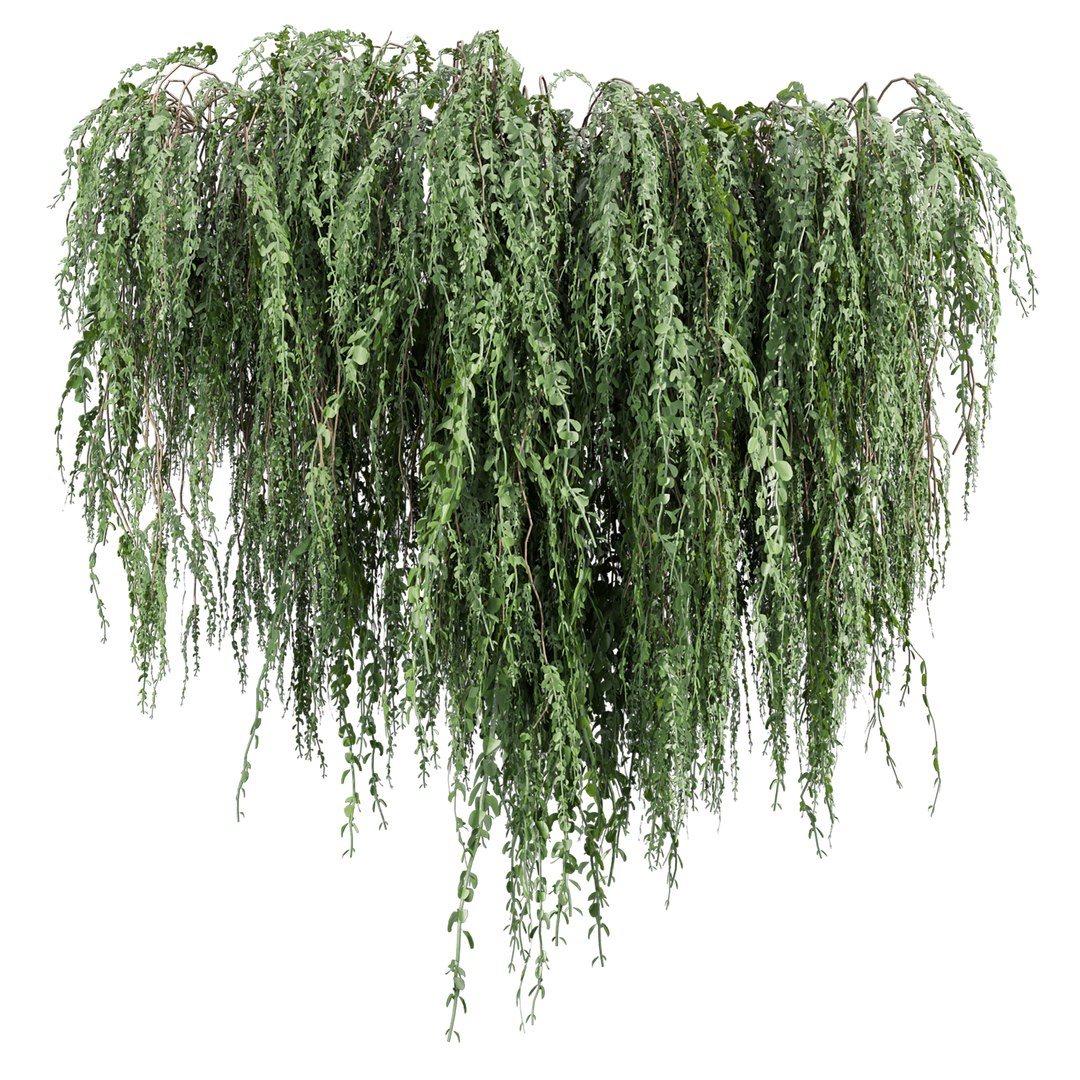 Collection plant vol 610 Corona 7 max 2011 3D model https://p.turbosquid.com/ts-thumb/tb/8MWK1s/OV/2/jpg/1731802021/1920x1080/fit_q87/9eeb8d343b88233669884032ea04b20dda348888/2.jpg