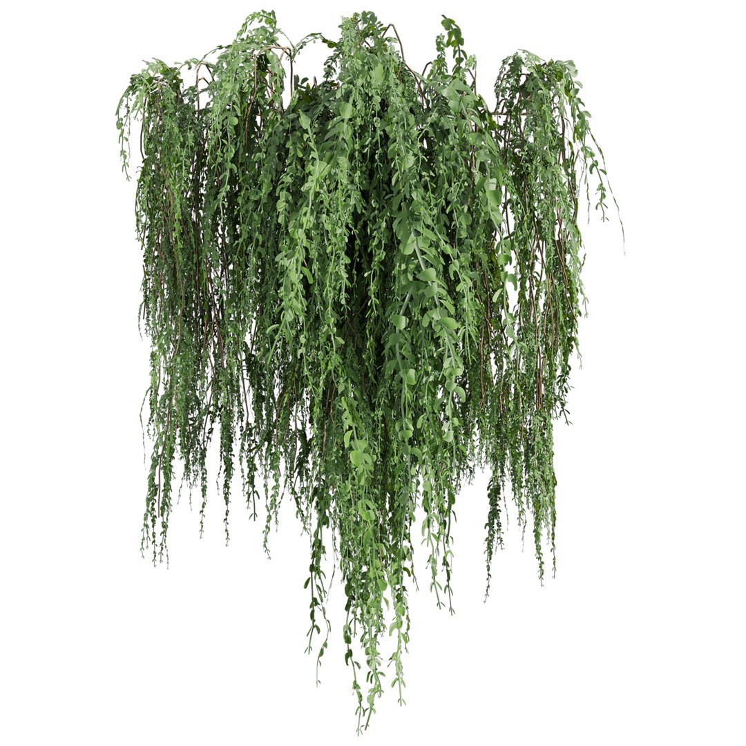 Collection plant vol 610 Corona 7 max 2011 3D model https://p.turbosquid.com/ts-thumb/tb/8MWK1s/Oz/3/jpg/1731802021/1920x1080/fit_q87/809cbd9f4a07a3531ba1e8cab1f4f2d84a289b73/3.jpg