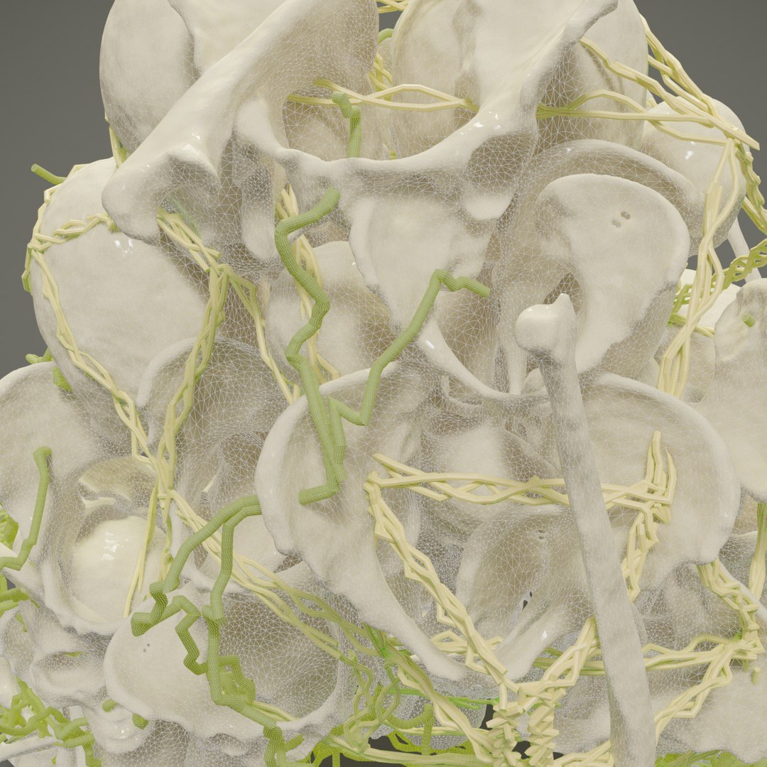 3D letter f bones skeleton https://p.turbosquid.com/ts-thumb/tb/FyVCRQ/TFltqxAn/wireframetop0001/png/1587541335/1920x1080/fit_q87/d65df96c3c102968f707571ed6c770be38b01eb5/wireframetop0001.jpg