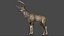 DeerFurAnimatedRigged 3D