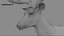 DeerFurAnimatedRigged 3D