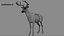 DeerFurAnimatedRigged 3D