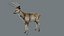 DeerFurAnimatedRigged 3D