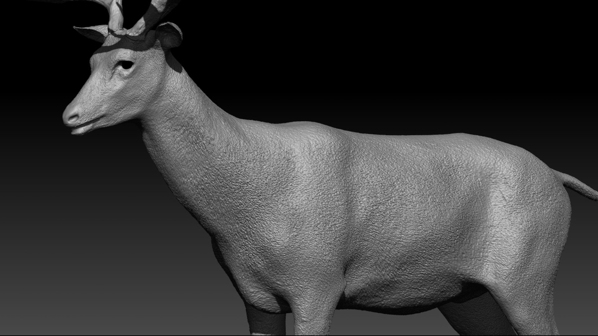 DeerFurAnimatedRigged 3D 3D model https://p.turbosquid.com/ts-thumb/tb/ICqjUy/Og/32/jpg/1754639771/1920x1080/fit_q87/0adaf91e412642cd54612c27083be32bc1014b35/32.jpg