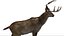 DeerFurAnimatedRigged 3D