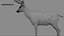 DeerFurAnimatedRigged 3D