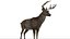 DeerFurAnimatedRigged 3D