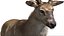 DeerFurAnimatedRigged 3D