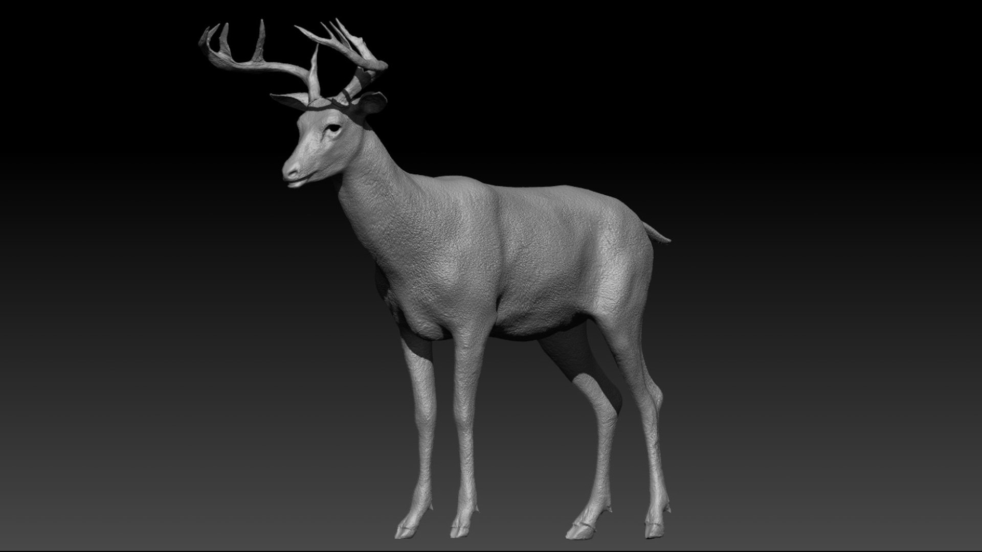 DeerFurAnimatedRigged 3D 3D model https://p.turbosquid.com/ts-thumb/tb/ICqjUy/nT/30/jpg/1754639770/1920x1080/fit_q87/b0262c2433b5878275479b211d7dd42f10f58c6e/30.jpg