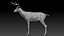 DeerFurAnimatedRigged 3D