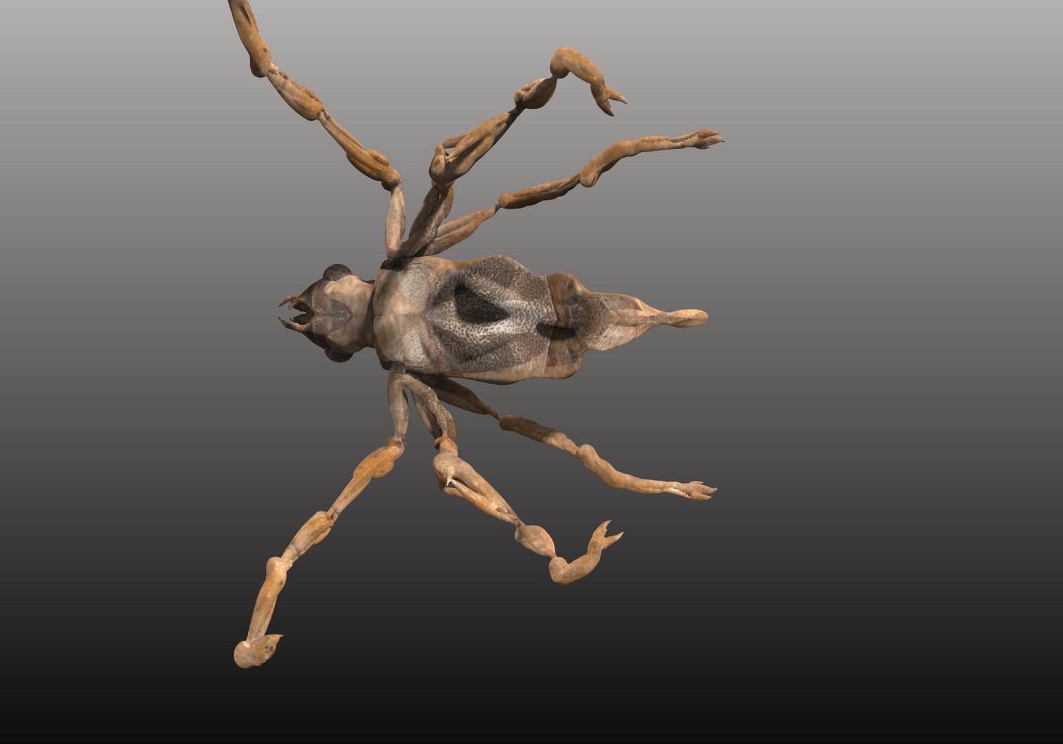 free obj model 3dcoat https://p.turbosquid.com/ts-thumb/tb/Smrq1y/06XRT9aO/2/jpg/1414594321/1920x1080/fit_q87/53d142fbb8e98c130003cf8e1806203391683de3/2.jpg